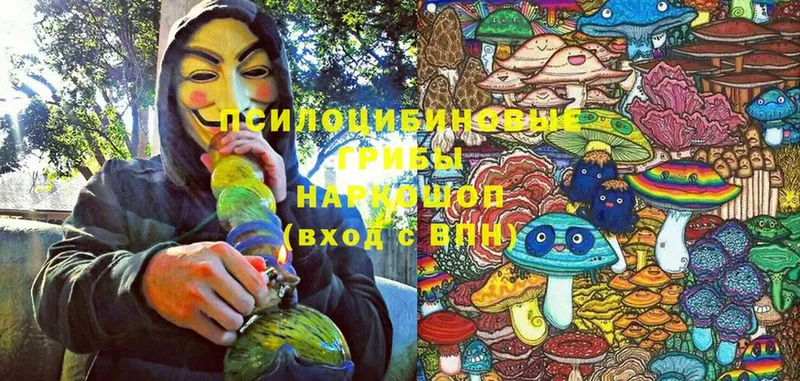 Псилоцибиновые грибы ЛСД Жигулёвск